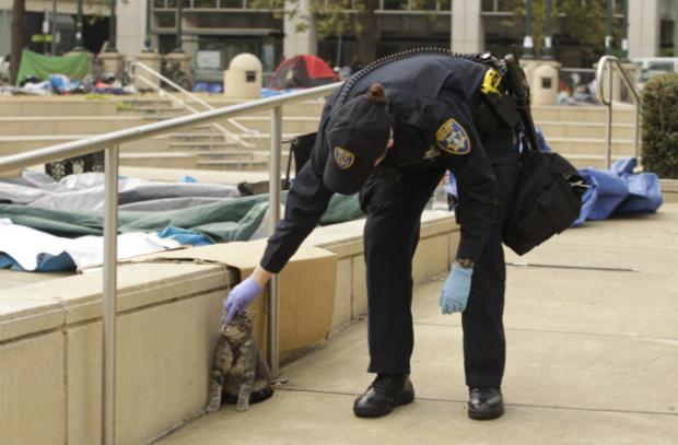 A boa e velha mídia: no dia seguinte da polícia de Oakland dispersar manifestantes com extrema violência, o Wall Street Journal publica foto de policial de Oakland acariciando um gatinho.