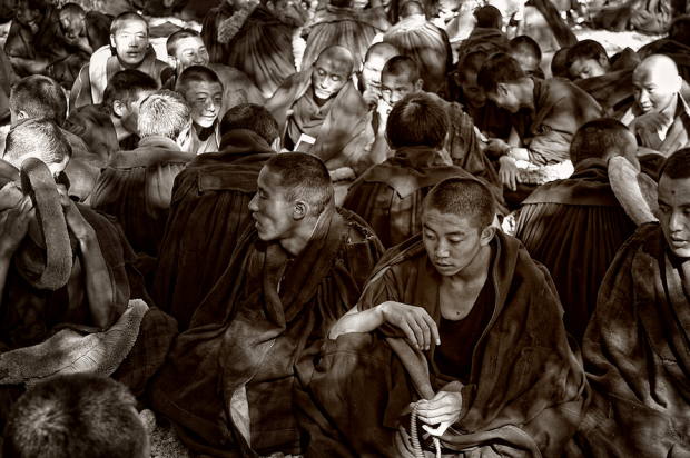 Monges tibetanos em debate. Crédito: Anna Carter