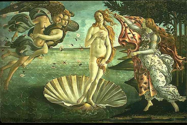 Buscando Botticelli (Imagem: A Musa de Vênus)