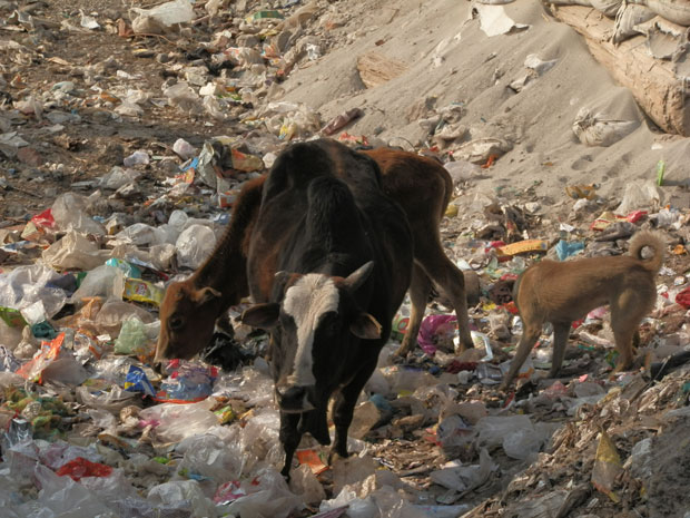 Lixo na Índia