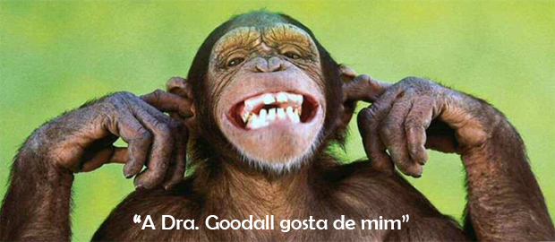 chimpsorrindo