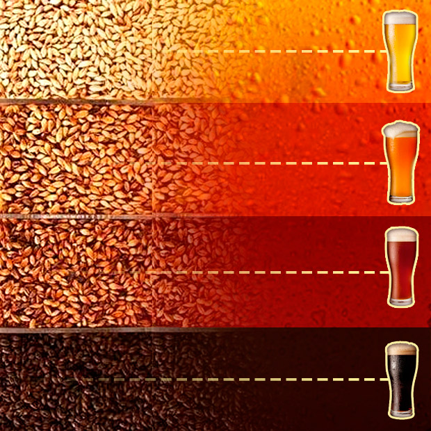 O malte define a cor da sua cerveja (imagem: Felipe Franco)
