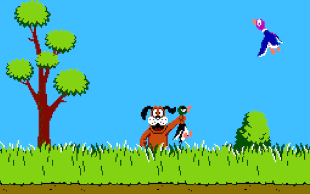 Duck Hunt Snes